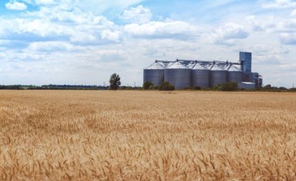 Image: Adobe A brown barley field